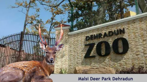 Malsi Deer Park